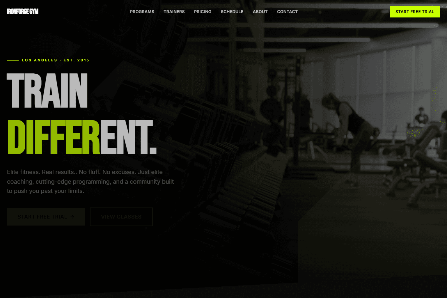 IronForge Gym gym starting design preview
